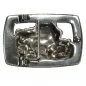 Preview: Design Belt Buckle Frog with treasure chest back