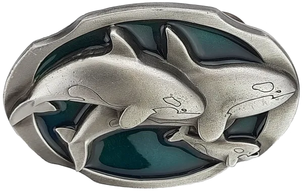Buckle Dolphins