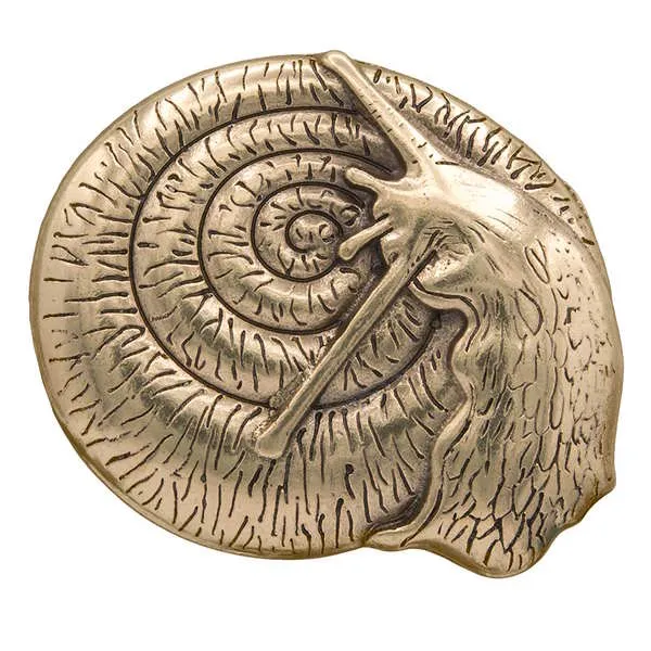 Design Belt Buckle Snail gold from Umjubelt