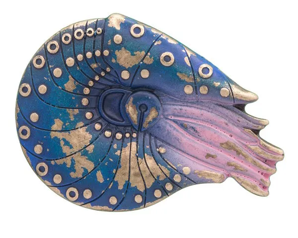 Design Belt Buckle Nautilus colori from Umjubelt